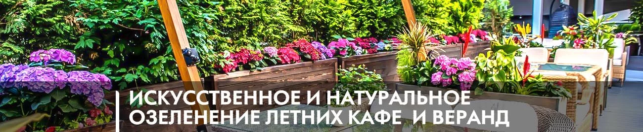 искусственное и натуральное озеленение летних кафе  и веранд