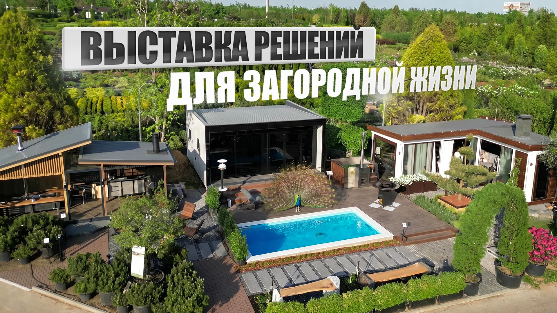 Обзор площадки